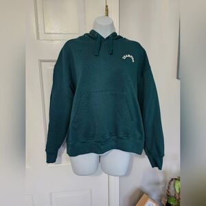 Champion Teal Hoodie